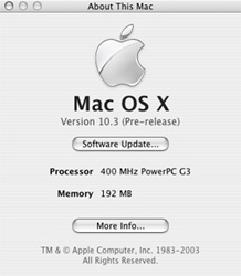 메탈릭 “About This Mac”