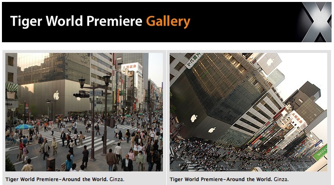 Tiger World Premiere Gallery