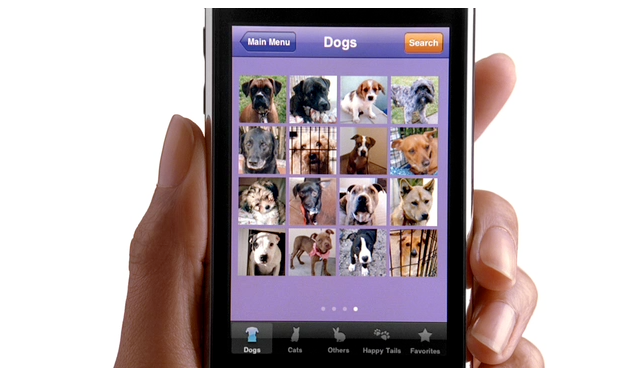 iPhone, TV광고 Dog Lover, Backpacker 공개