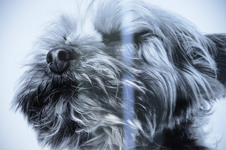 data news DSC 4191 verge super wide