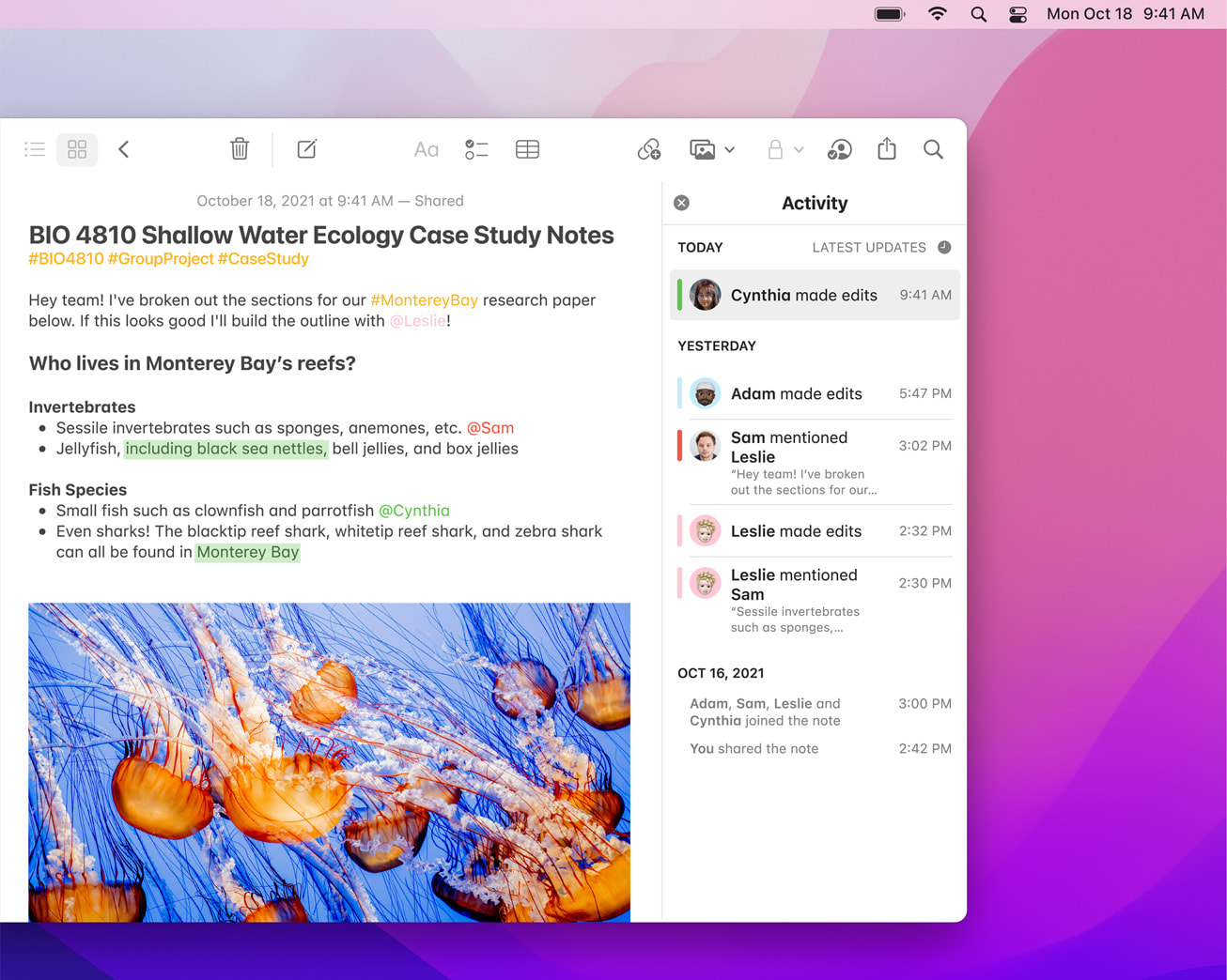 macOS Monterey 업데이트 발표 사용 가능