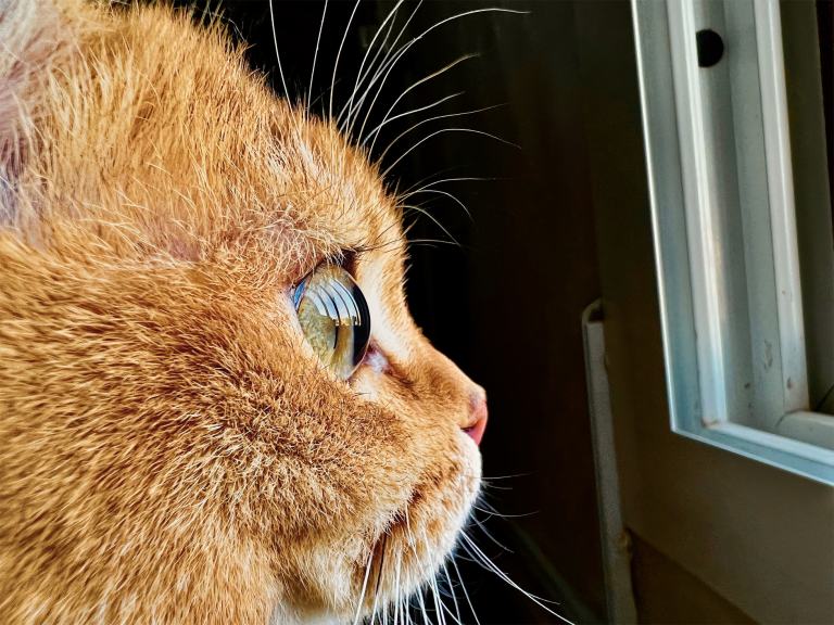 iPhone 13 Pro 접사 사진 공유 Shot on iPhone 챌린지