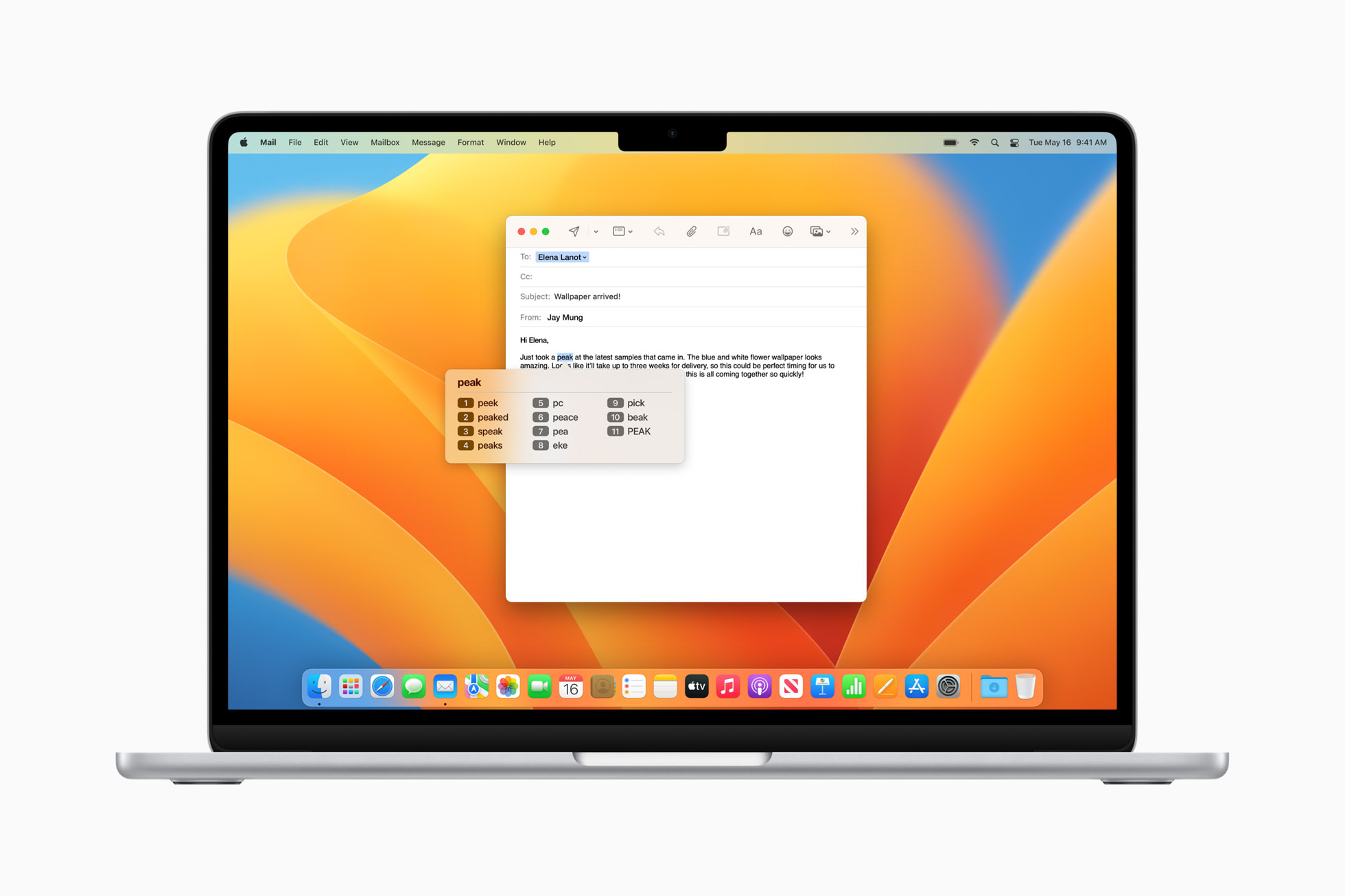 Apple, 손쉬운 사용 관련 새로운 소프트웨어 기능 공개