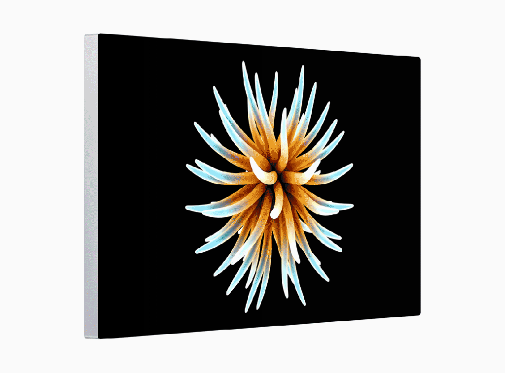 apple mac pro display pro display pro xdr retina 060319 inline.gif.large 2x