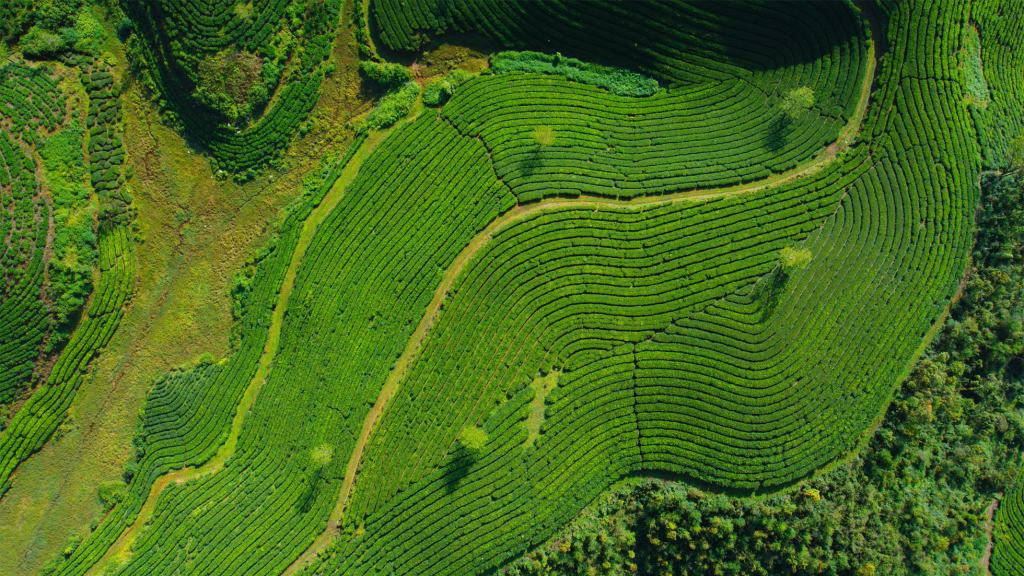 Apple WWDC25 tvOS 26 Aerial screen saver 07 250609 big.jpg.large 2x