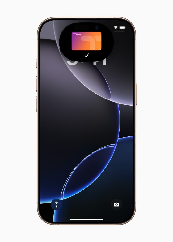 iPhone 화면에 티머니 카드가 표시된 모습.