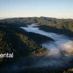 2026 Environmental Progress Report