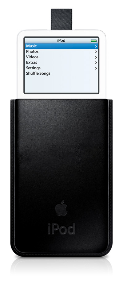 ipodnano_leather_case