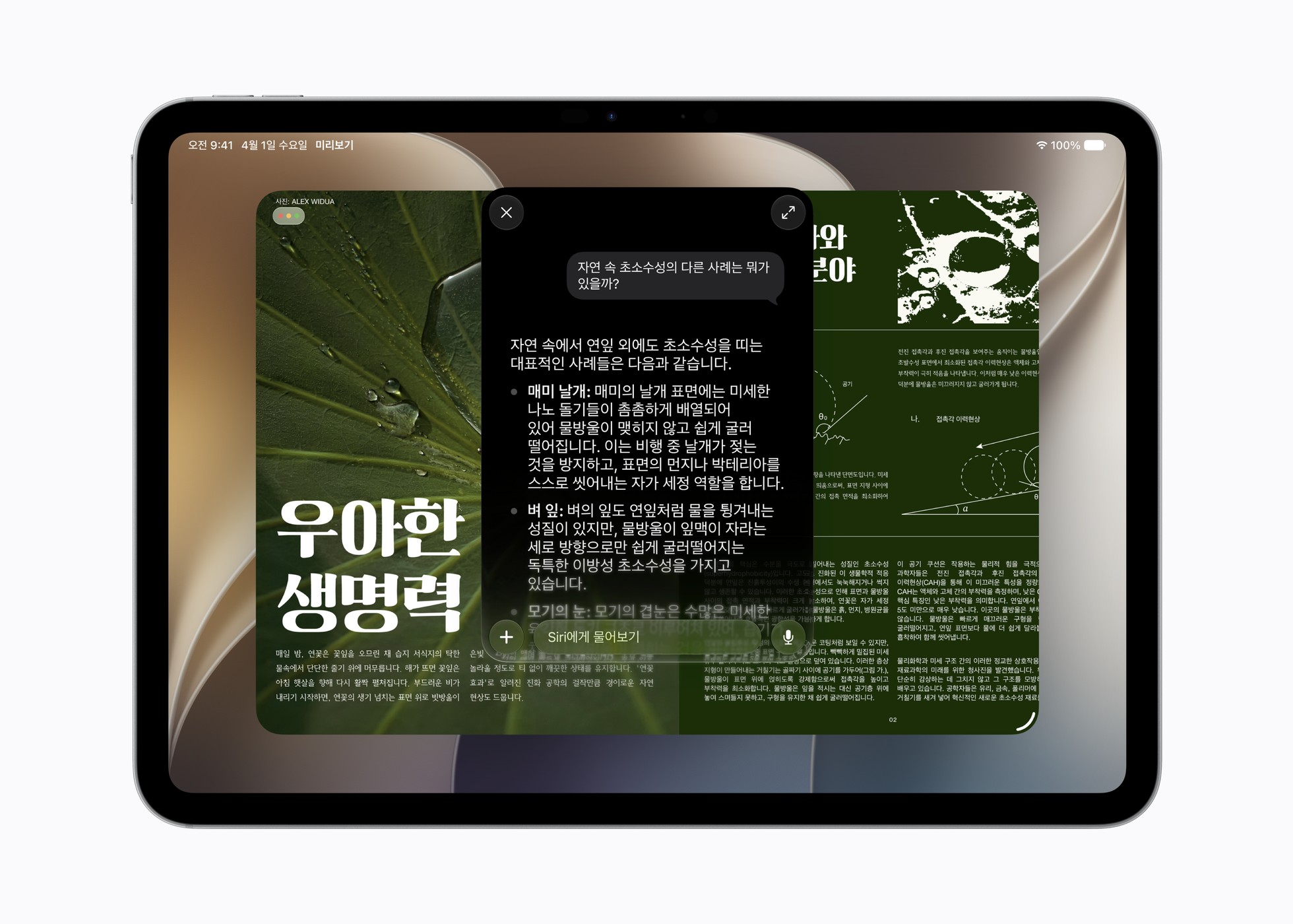 Siri AI는 웹 전반의 정보를 활용해 유용하고 정확한 답변을 제공하며, 사용자는 후속 질문을 통해 풍부한 대화를 이어 갈 수 있다